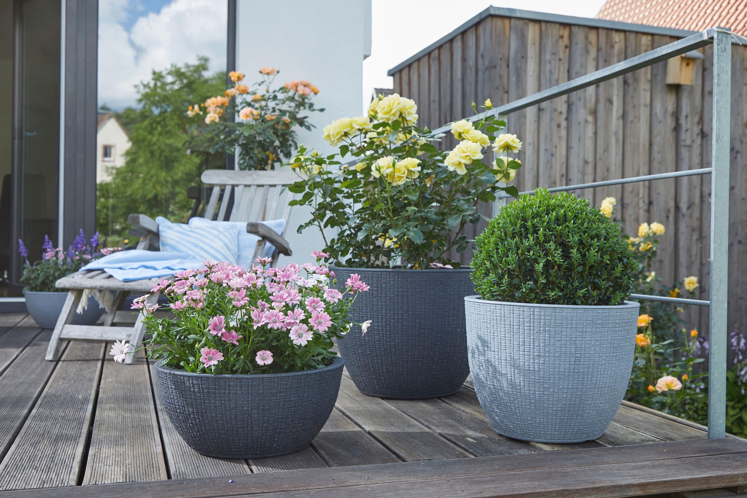 Scheurich Blumentopf »30/295 BARCEO«