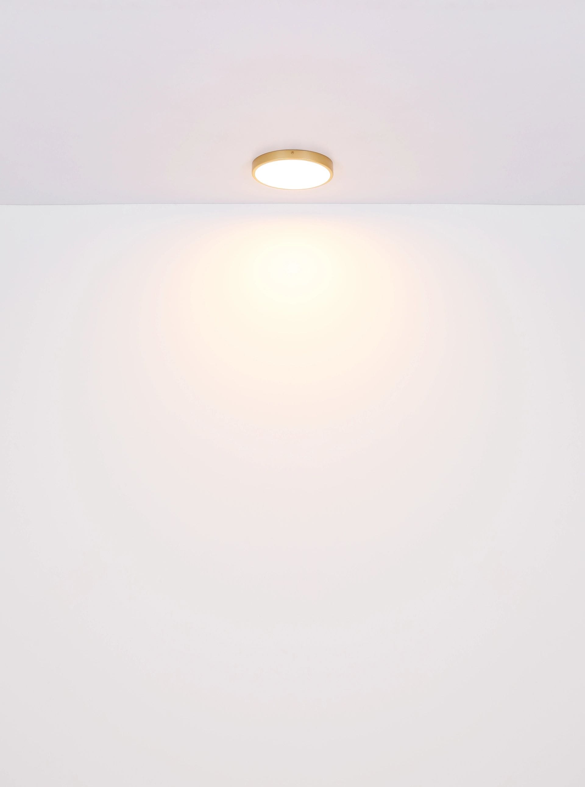 GLOBO LIGHTING LED Deckenleuchte »TIBEY«, Leuchtmittel LED-Modul | LED fest integriert, Runde Deckenlampe, Wohnzimmer, Flur, Durchmesser 45cm