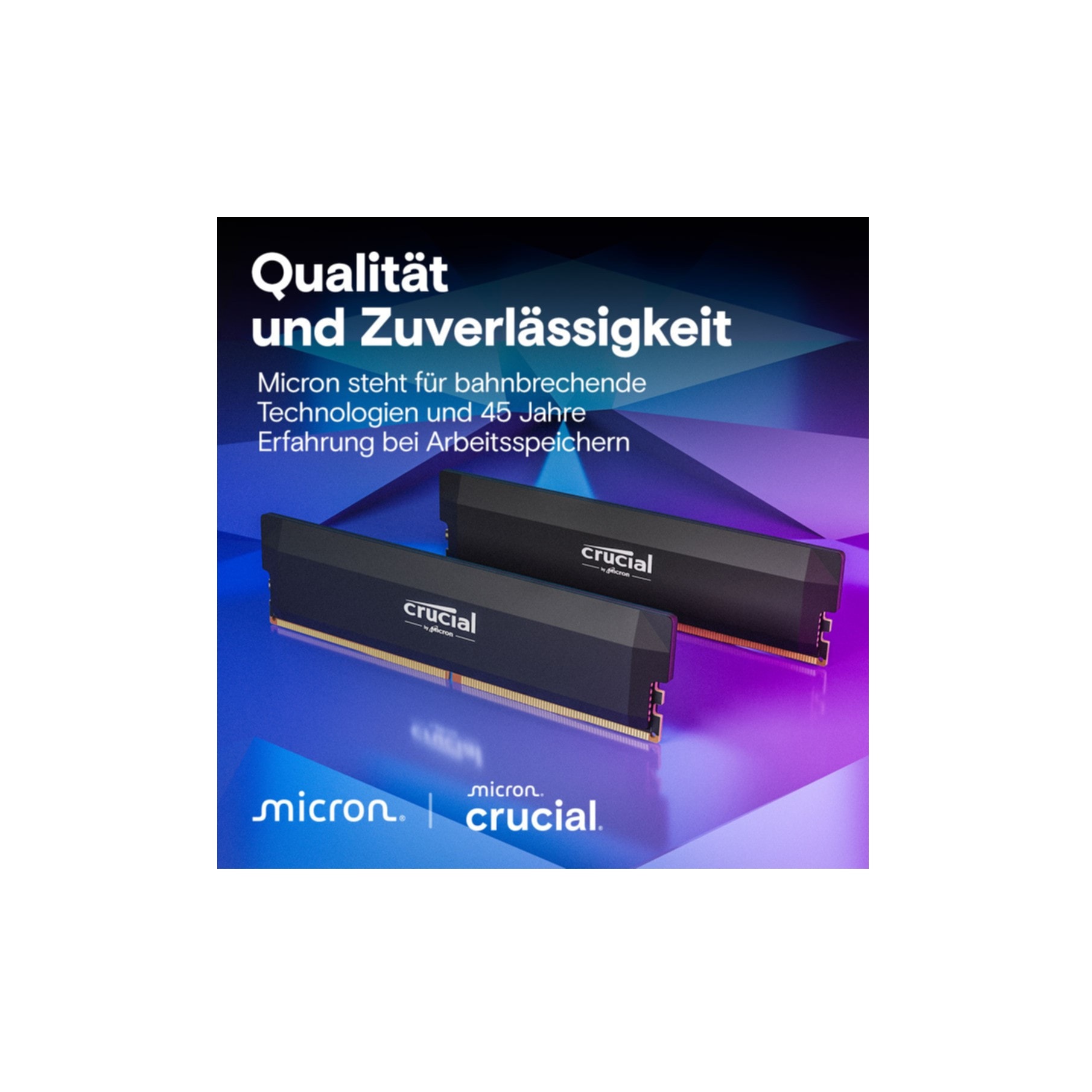 Crucial Arbeitsspeicher »CP2K32G60C40U5B«