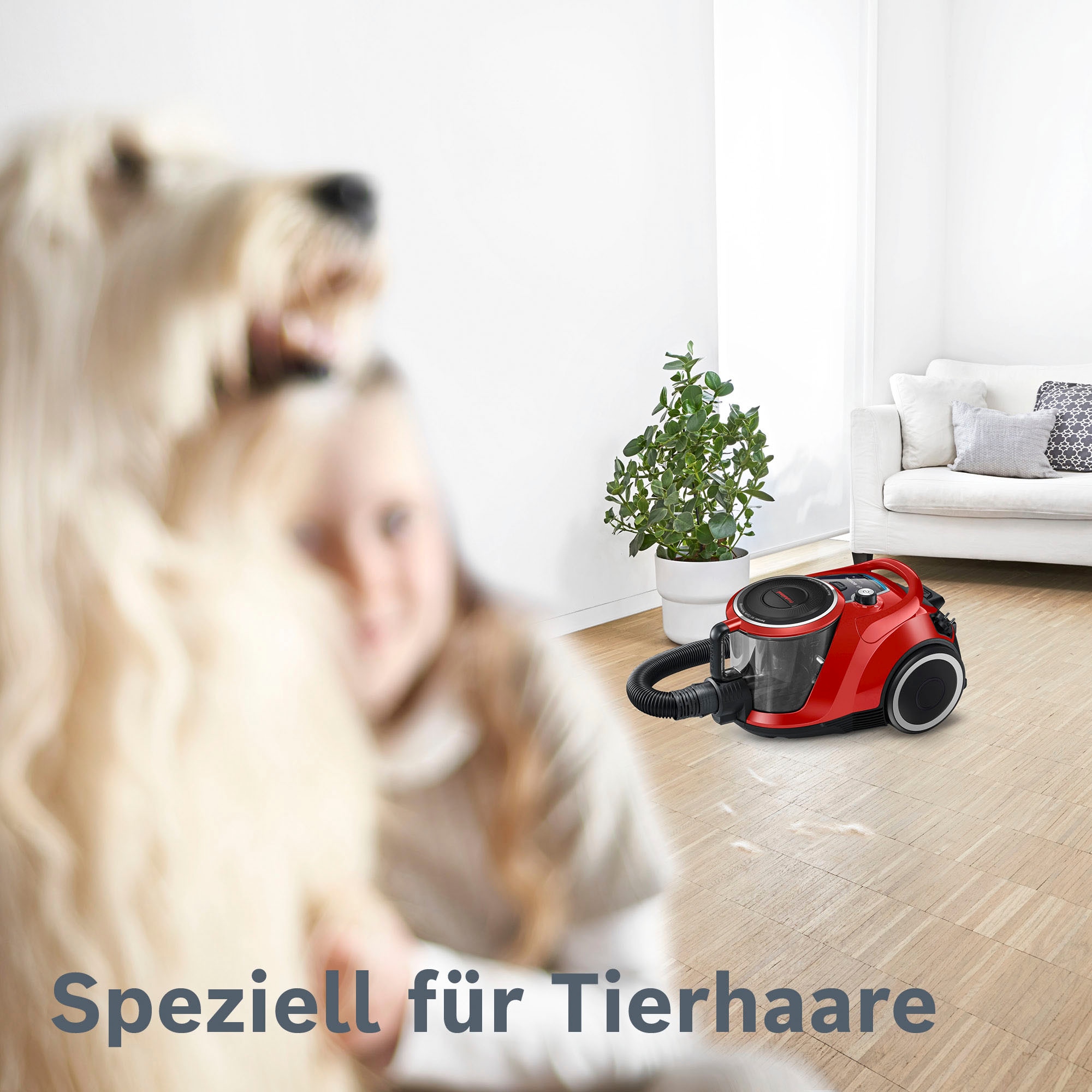 BOSCH Bodenstaubsauger »Serie 6 ProAnimal BGC41PET, ideal für Tierhaare, Hygiene-Filter«, 750 W, beutellos, 10 Jahre Motorgarantie, für Parkett/Teppich/Fliesen, Turbo-Düse, rot