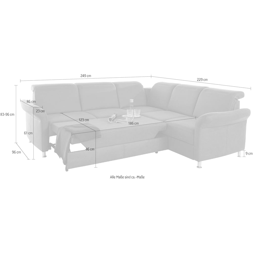 sit&more Ecksofa »Darwin«