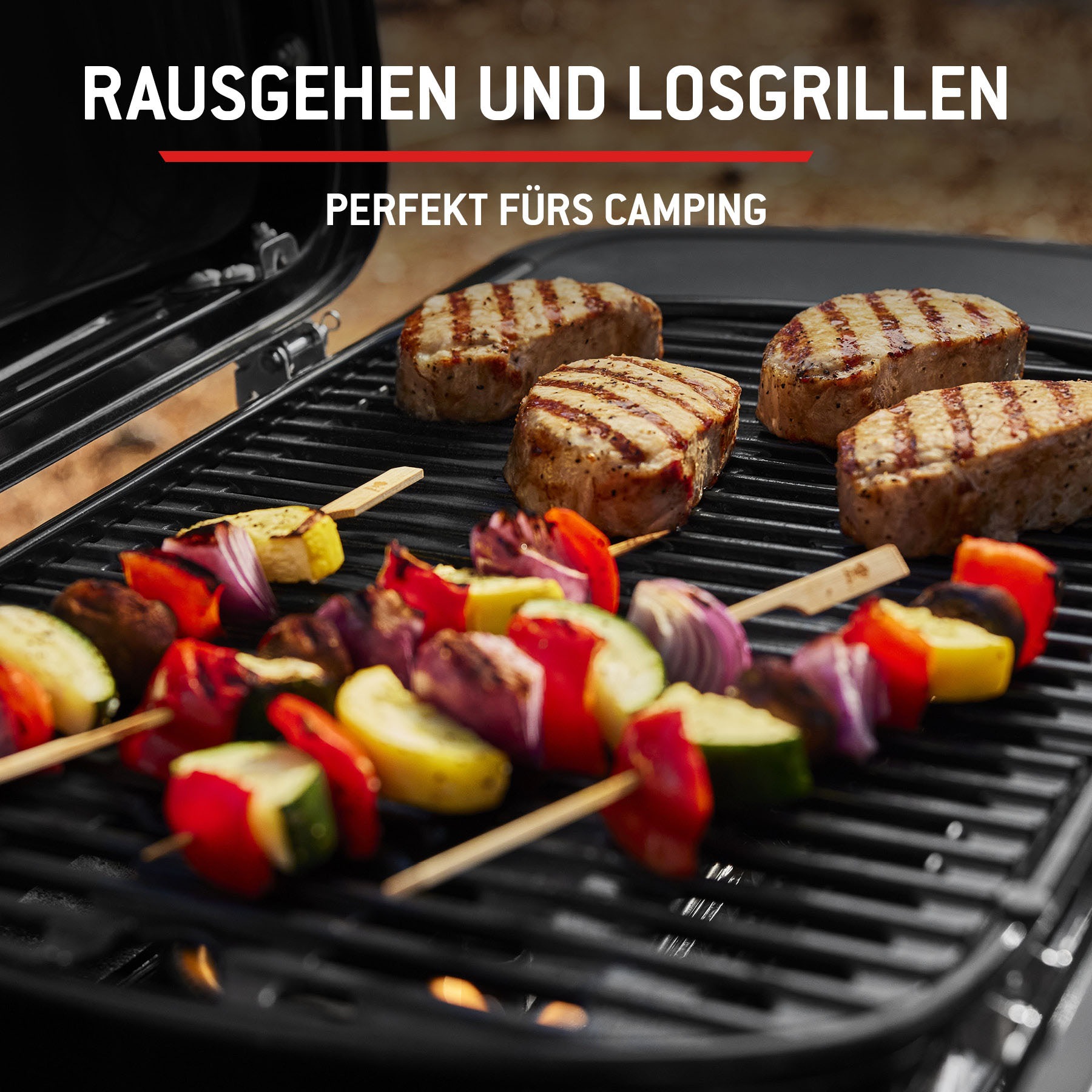 Weber Camping-Gasgrill »Traveler Compact«