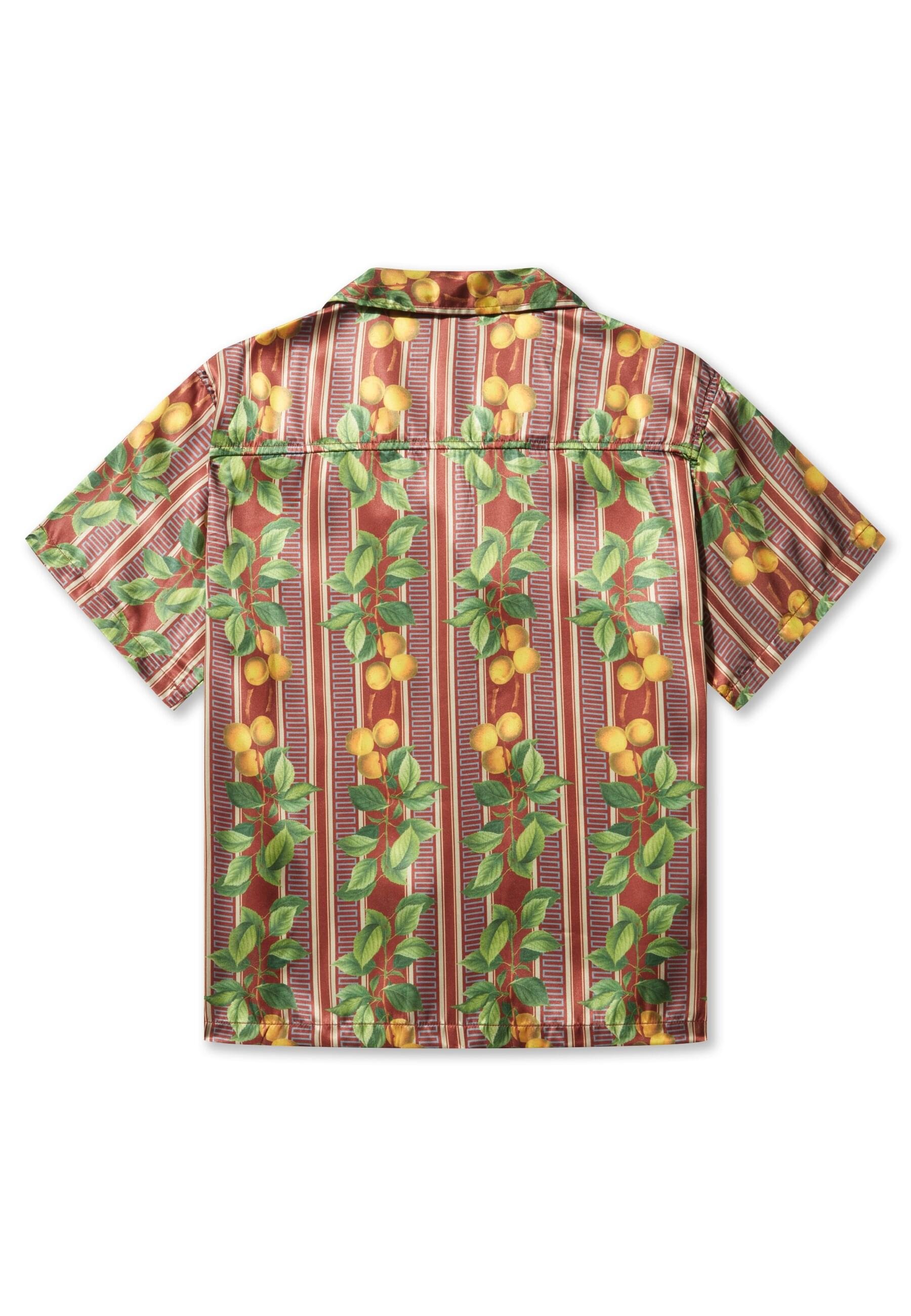 Pas De Monaco Langarmhemd »Pas De Monaco FRUITS CUBAN SHIRT« 1 Stk.