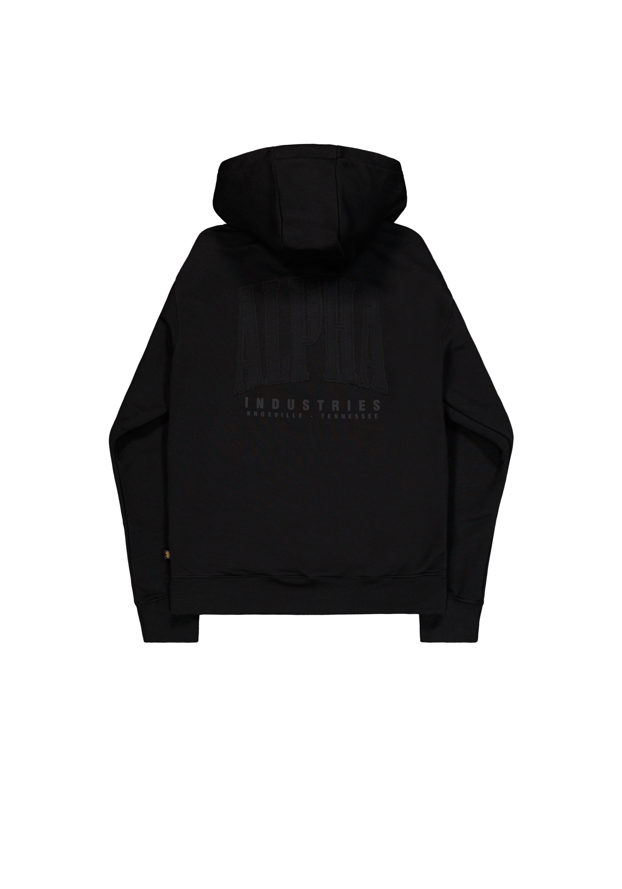 Alpha Industries Hoodie »Coach Hoodie Backprint «
