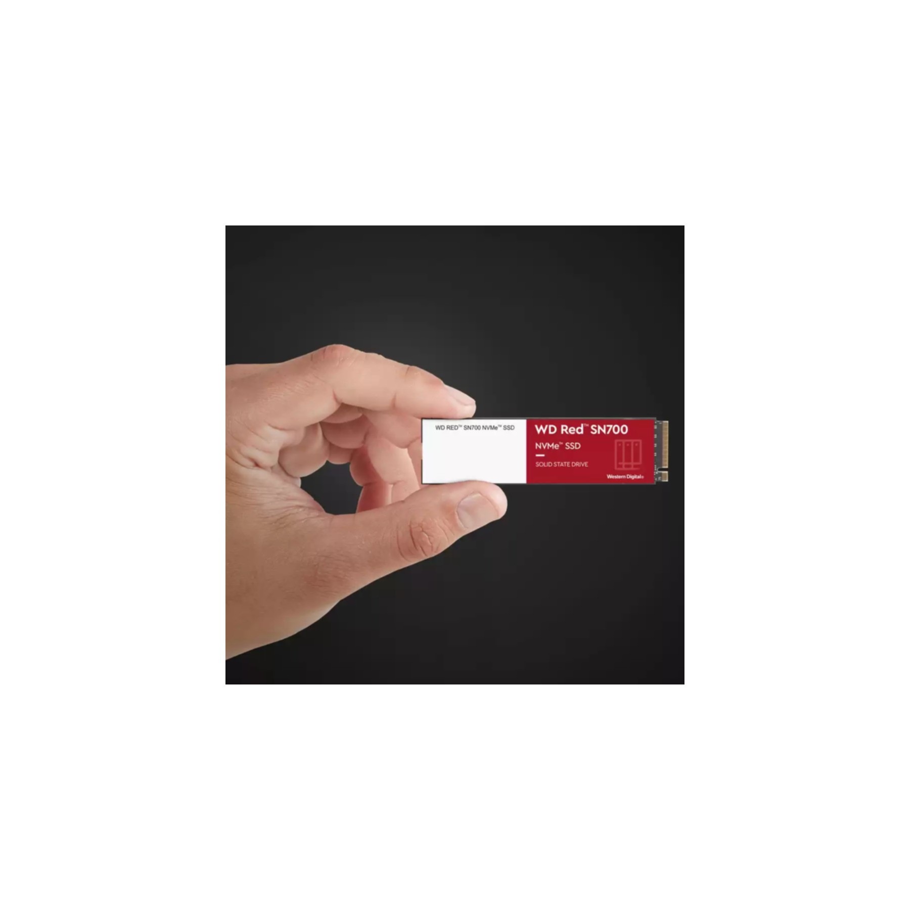 Sandisk interne SSD »WDS200T1R0C«