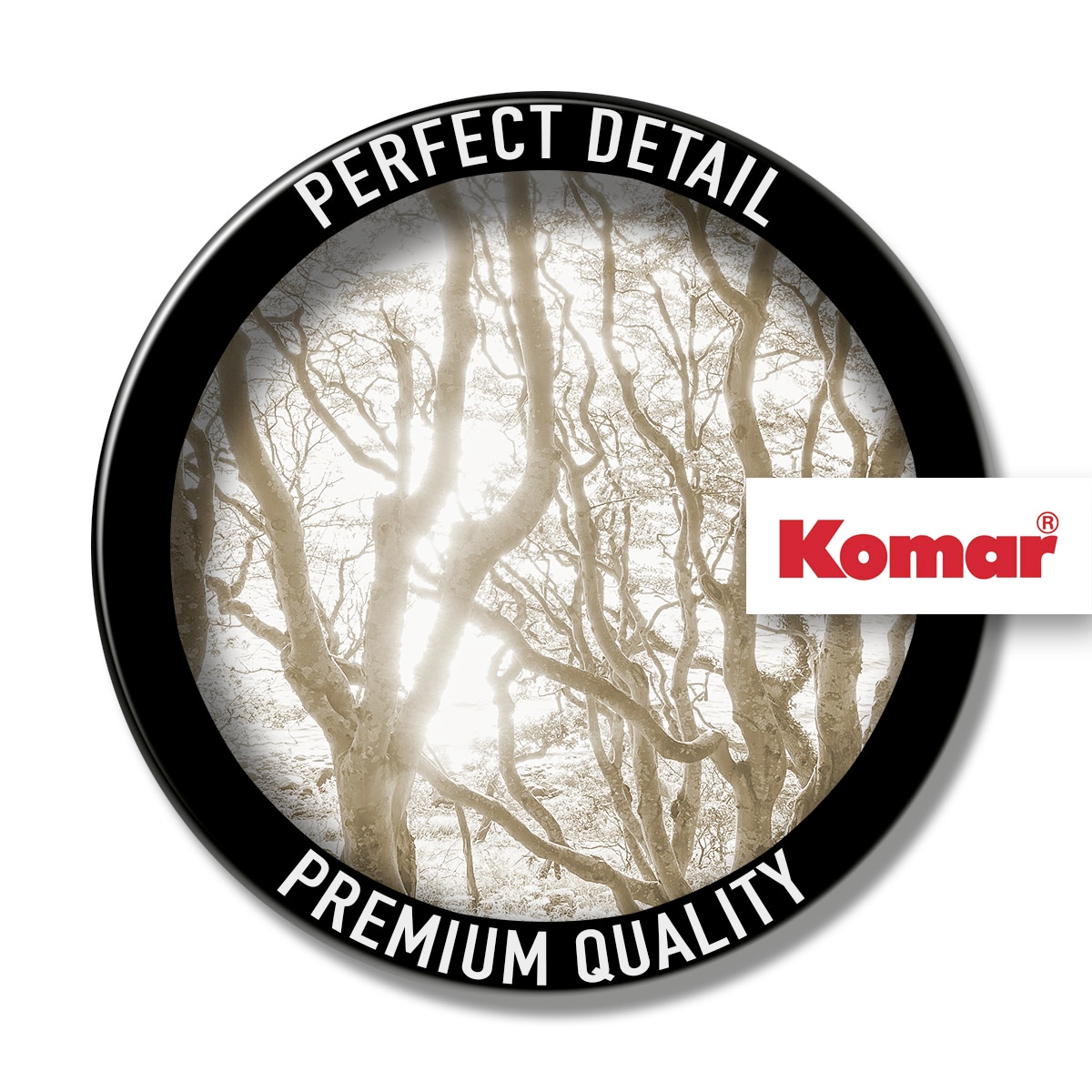 Komar Fototapete »Digitaldruck Vlies - Bleached Birch - Größe 400 x 250 cm«, bedruckt-floral-geblümt-gemustert-tropisch, Wohnzimmer, Schlafzimmer