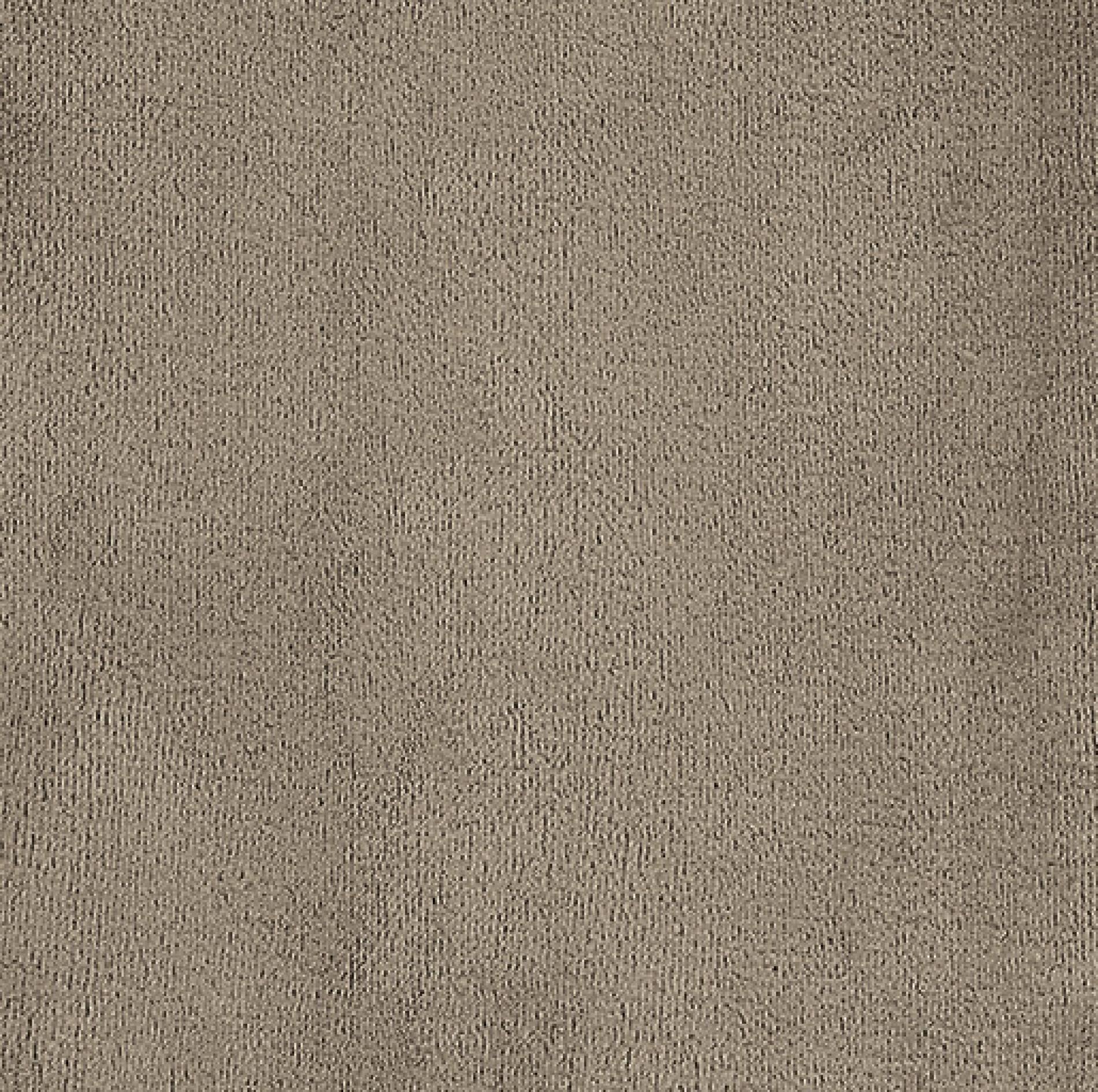 Irisette Wohndecke "Relax 8900" kuschelig weich und pflegeleicht günstig online kaufen