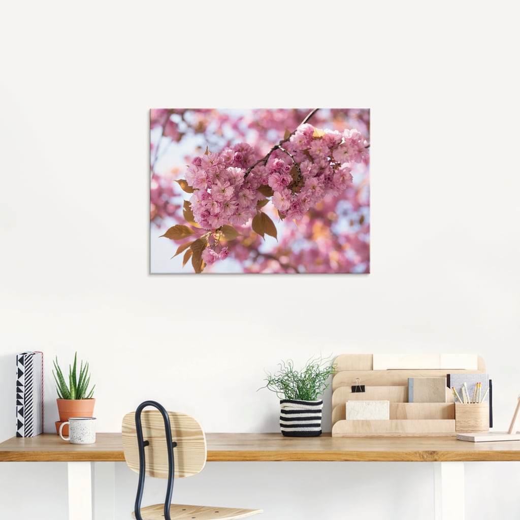 Artland Glasbild »Japanische Kirschblüte in Love I«, Blumen, (1 St.)