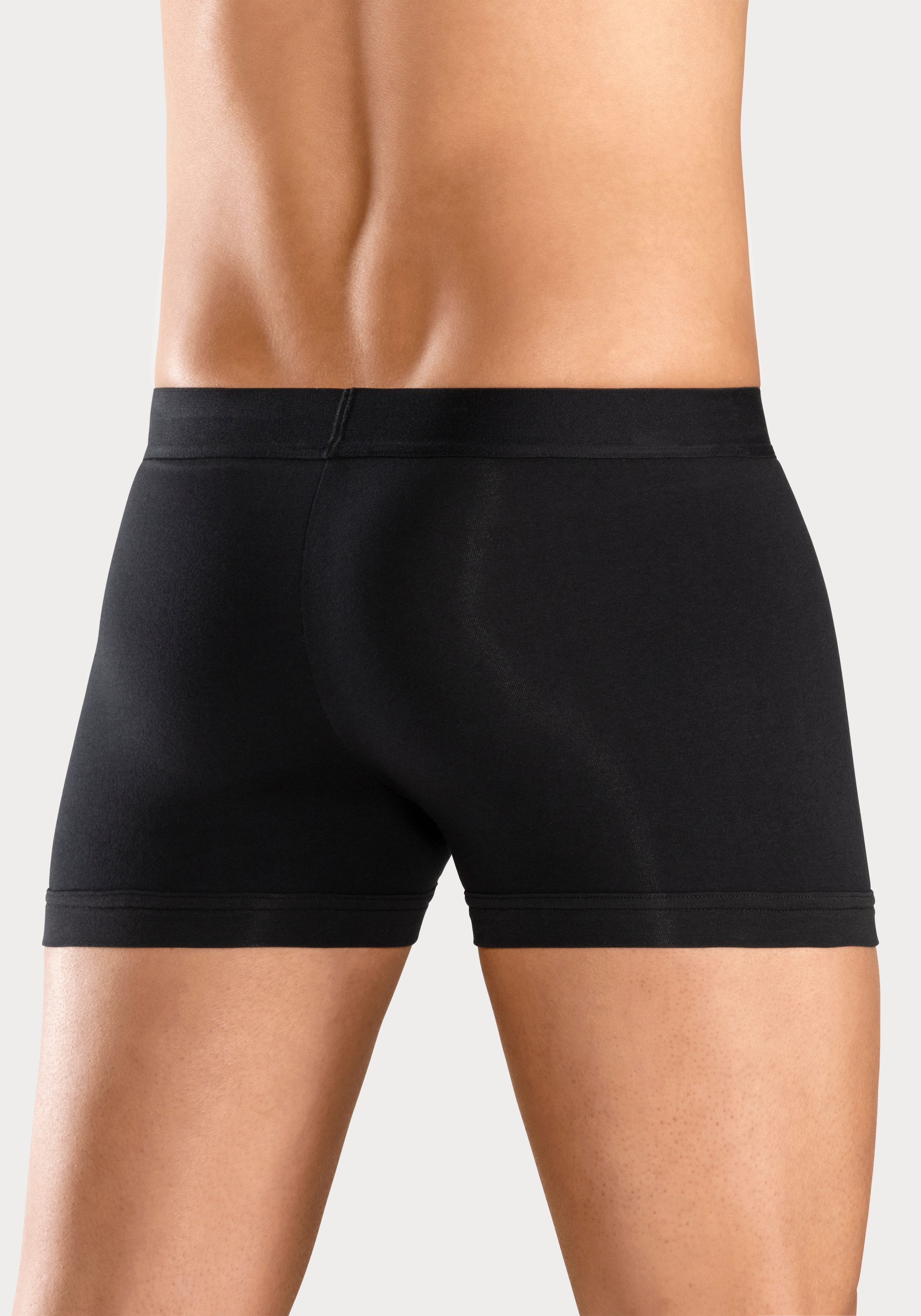 Bruno Banani Boxer »Boxershorts für Herren«, (Packung, 5 St.), mit Streifen Logo Webbund