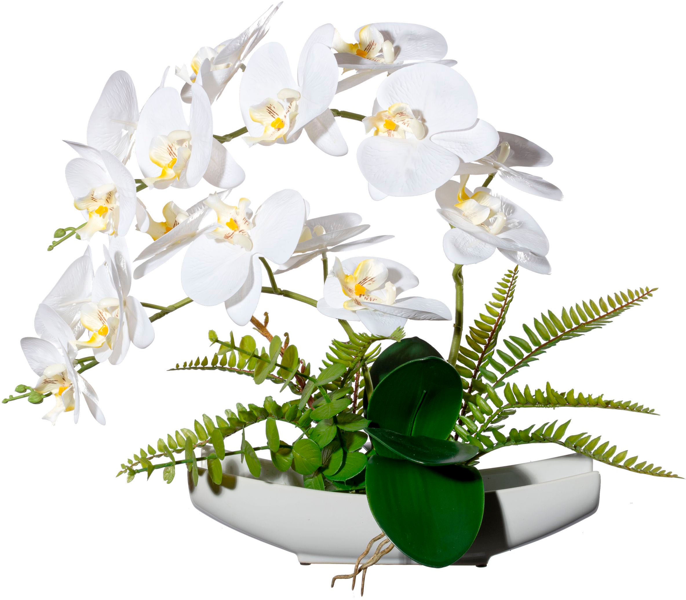 Creativ green Kunstorchidee »Orchidee Phalaenopsis in Keramikschale«, mit  Real-Touch-Blüten auf Raten bestellen
