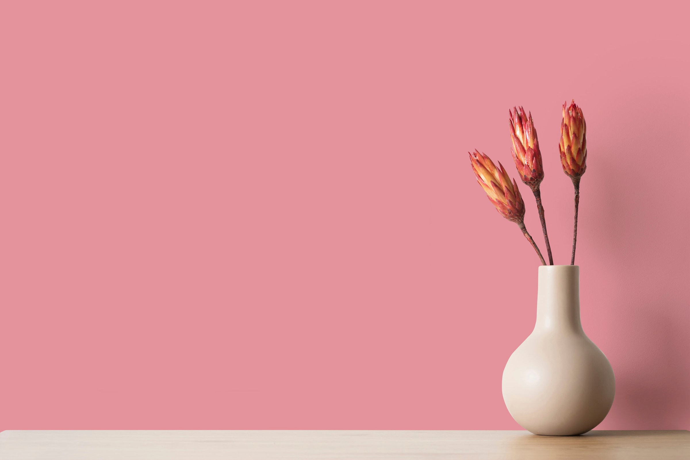 A.S. Création Wand- und Deckenfarbe »Seidenmatt Innenfarbe THE COLOR KITCHEN« für Wohnzimmer Schlafzimmer Flur Küche, versch. Rosatöne