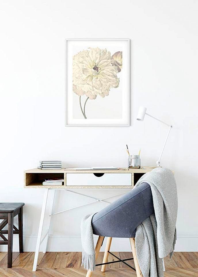 Komar Bild »Illustration Dahlia«, Blumen, (1 St.), Wandbild zur Dekoration - ohne Rahmen