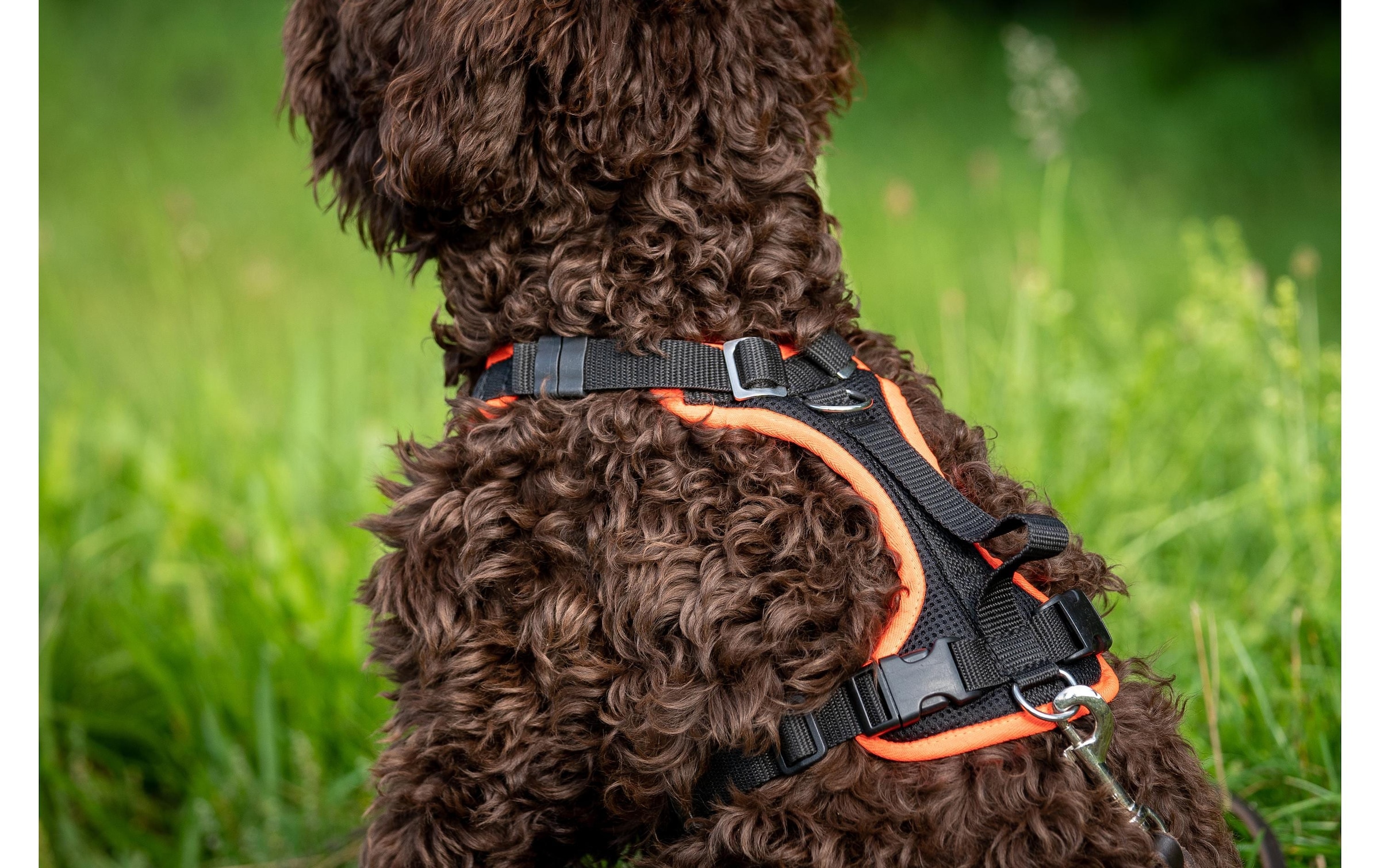   Hunde-Geschirr »Geschirr 3XS« Polyester