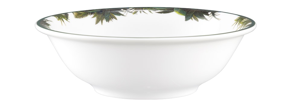 Seltmann Weiden Kinderschüssel »Schüssel rund 16 cm« 1 Stk. aus Porzellan Schüssel mit Dino - Design