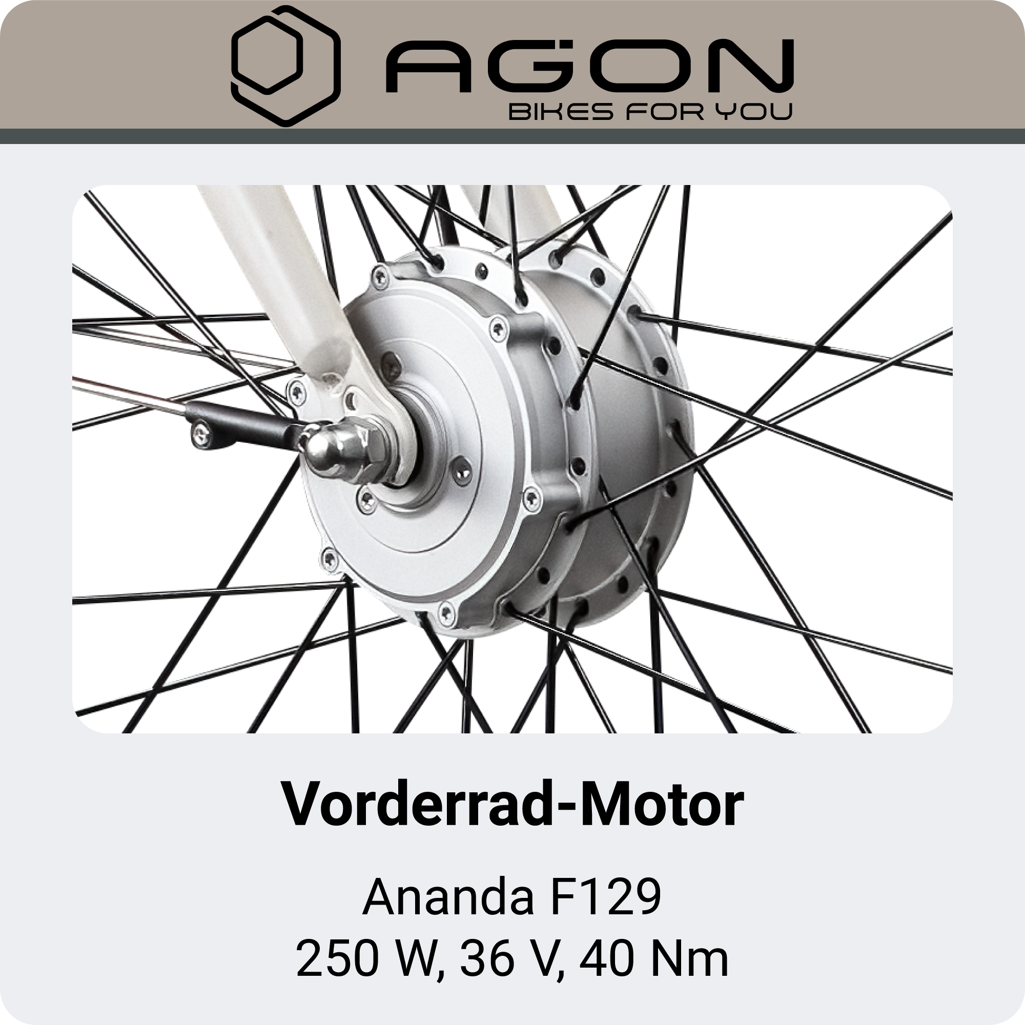 AGON »Axis« 3 Gang Nabenschaltung Frontmotor 250 W E-Bike 26" Citybike 140-165cm Pedelec Nabenmotor Fahrrad 3 Gang Licht