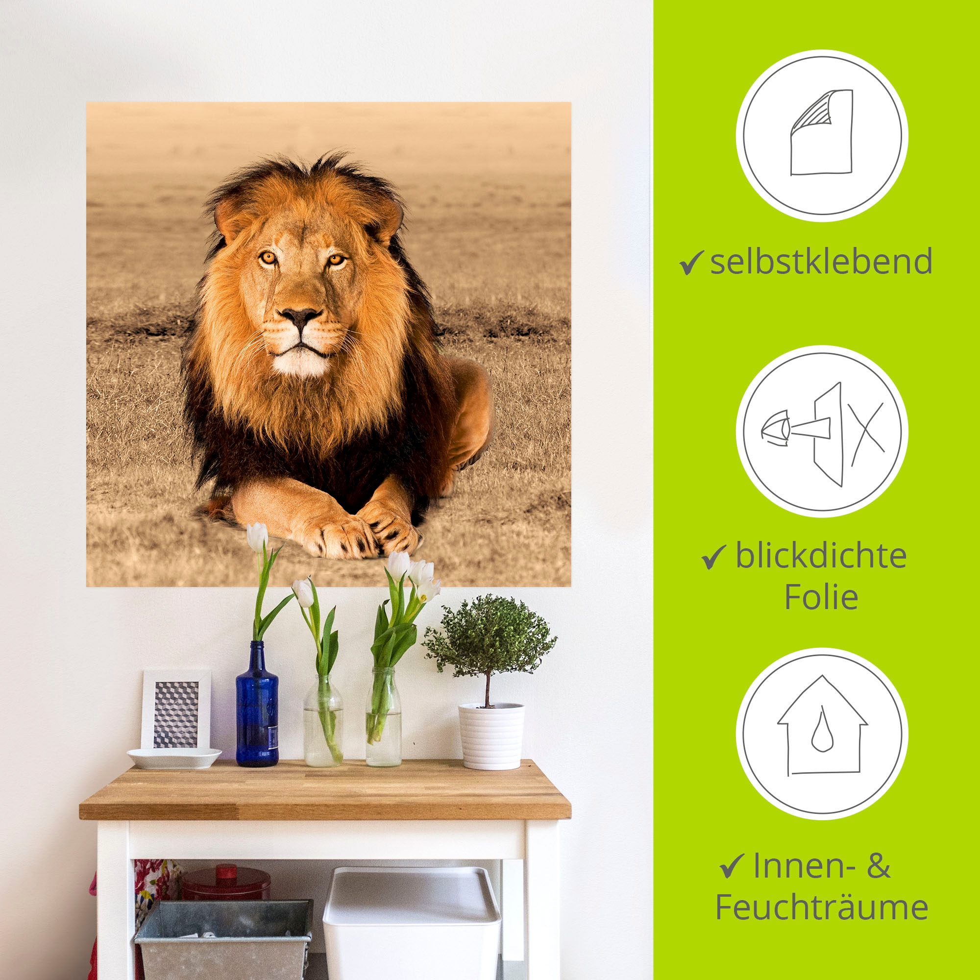 Artland Wandbild »Löwe«, Wildtiere, (1 St.), als Alubild, Outdoorbild, Leinwandbild, Poster, Wandaufkleber