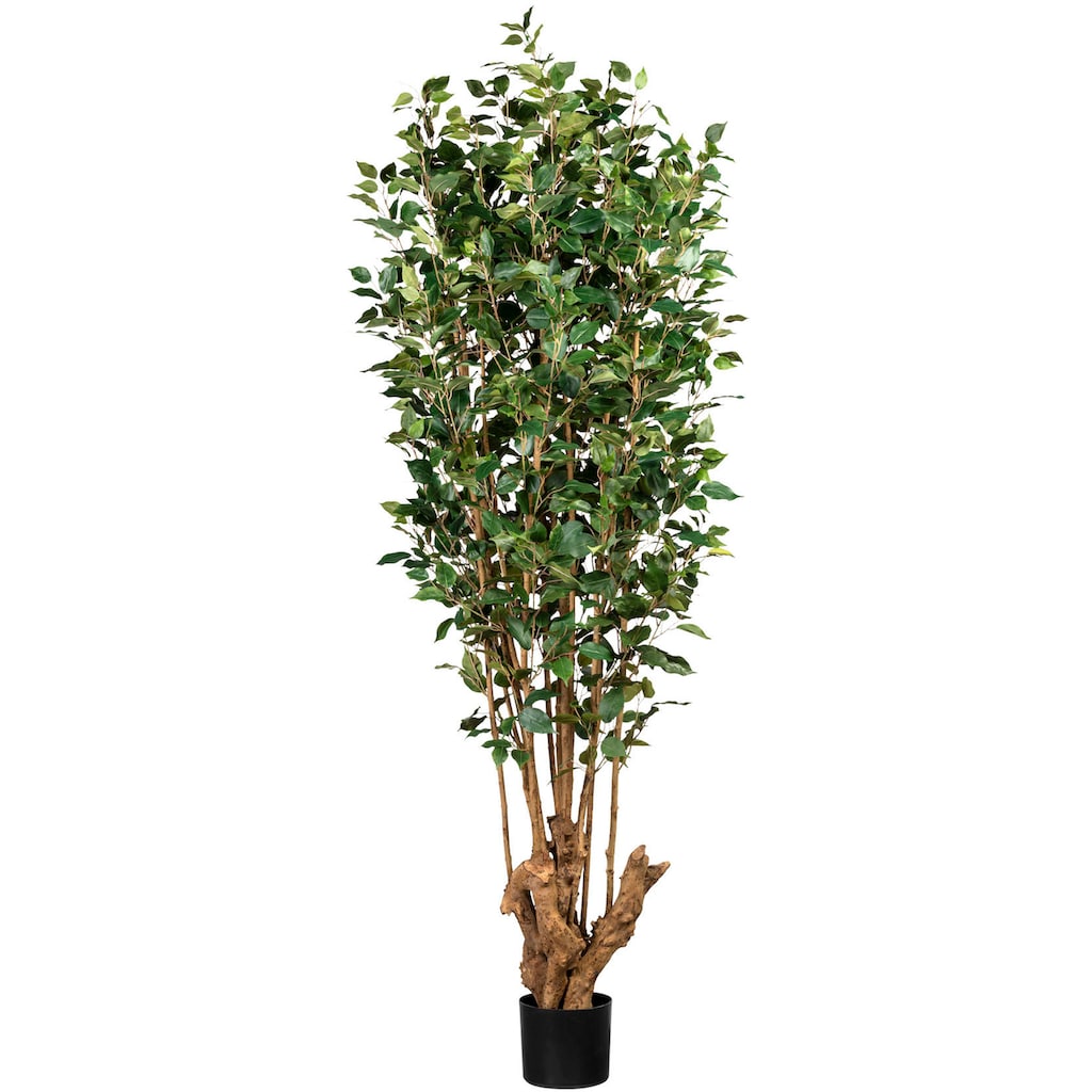 Creativ green Kunstbaum »Ficus Benjamini«
