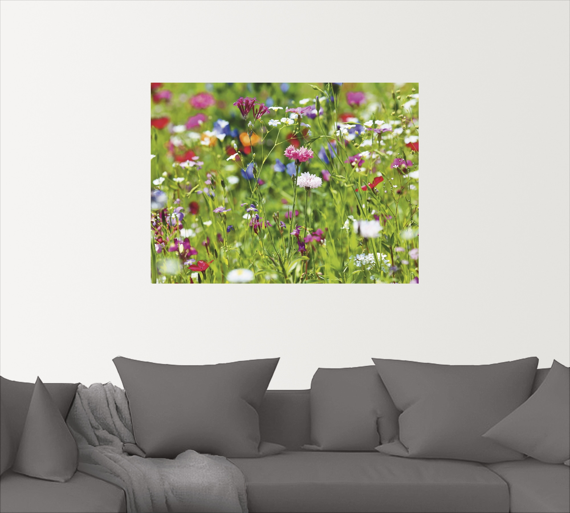 Artland Wandbild »Blumenwiese I«, Blumenwiese, (1 St.), als Leinwandbild,  Wandaufkleber oder Poster in versch. Größen auf Raten bestellen