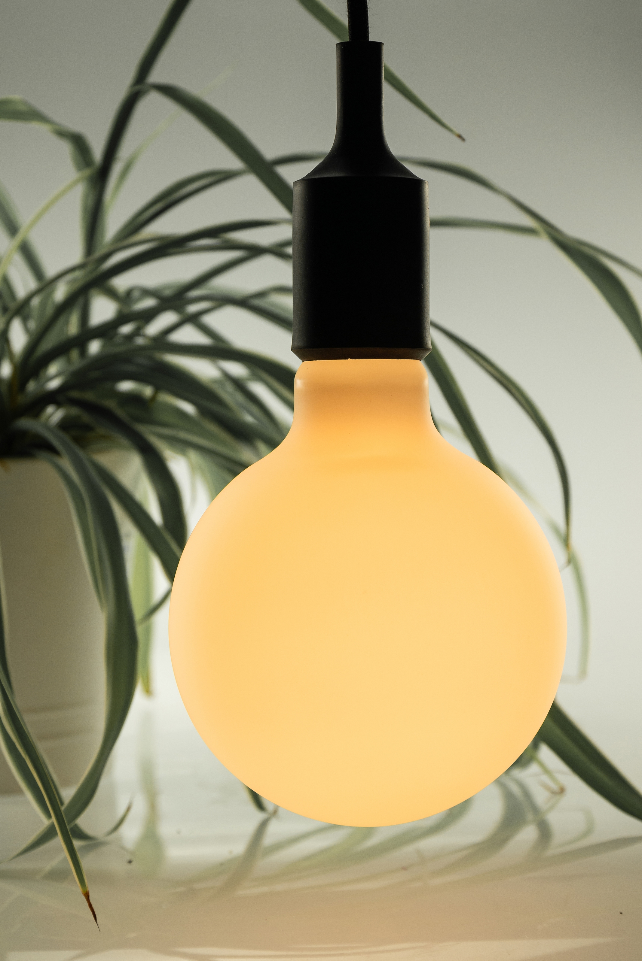 SEGULA LED-Leuchtmittel »LED Globe 125 Ambient matt«, E27, Warmweiß, dimmbar, E27, Globe 125, matt, Ambient Dimming