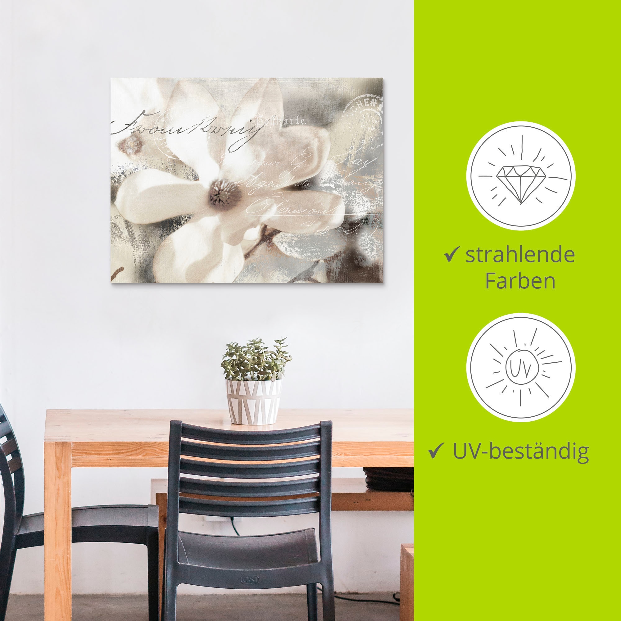 Artland Wandbild »Magnolie_Detail«, Blumenbilder, (1 St.), als Alubild, Outdoorbild, Leinwandbild, Poster, Wandaufkleber