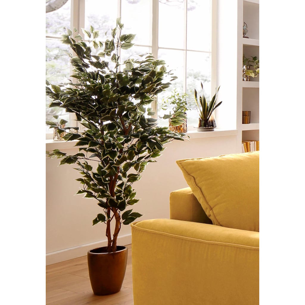 Creativ green Kunstpflanze »Ficus Benjamini«