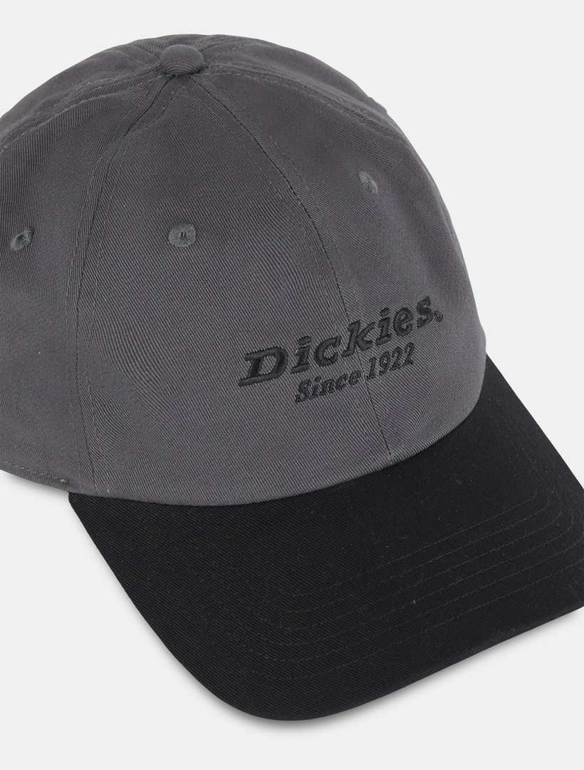 Dickies Baseball Cap »Dickies Workwear Mützen TWILL DAD HAT«