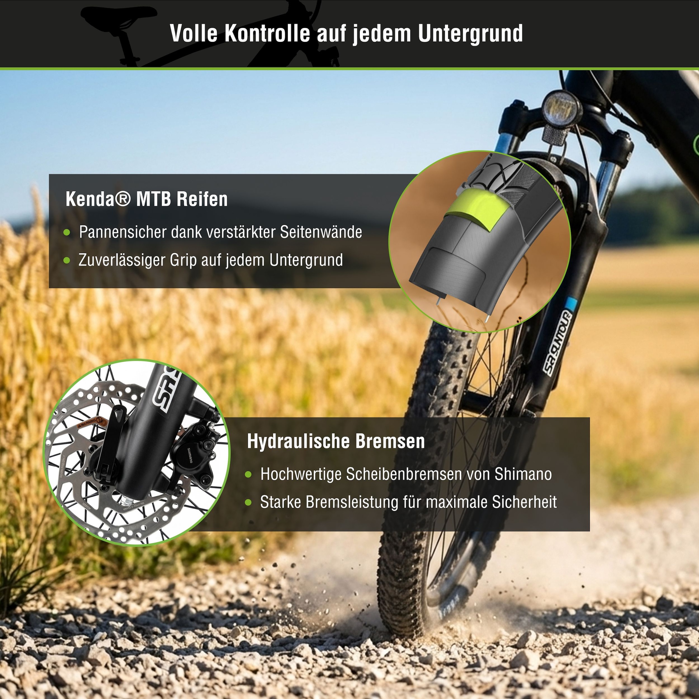 SachsenRad »R8R Flex III mit Riemenantrieb« Shimano ohne Schaltung Heckmotor 250 W