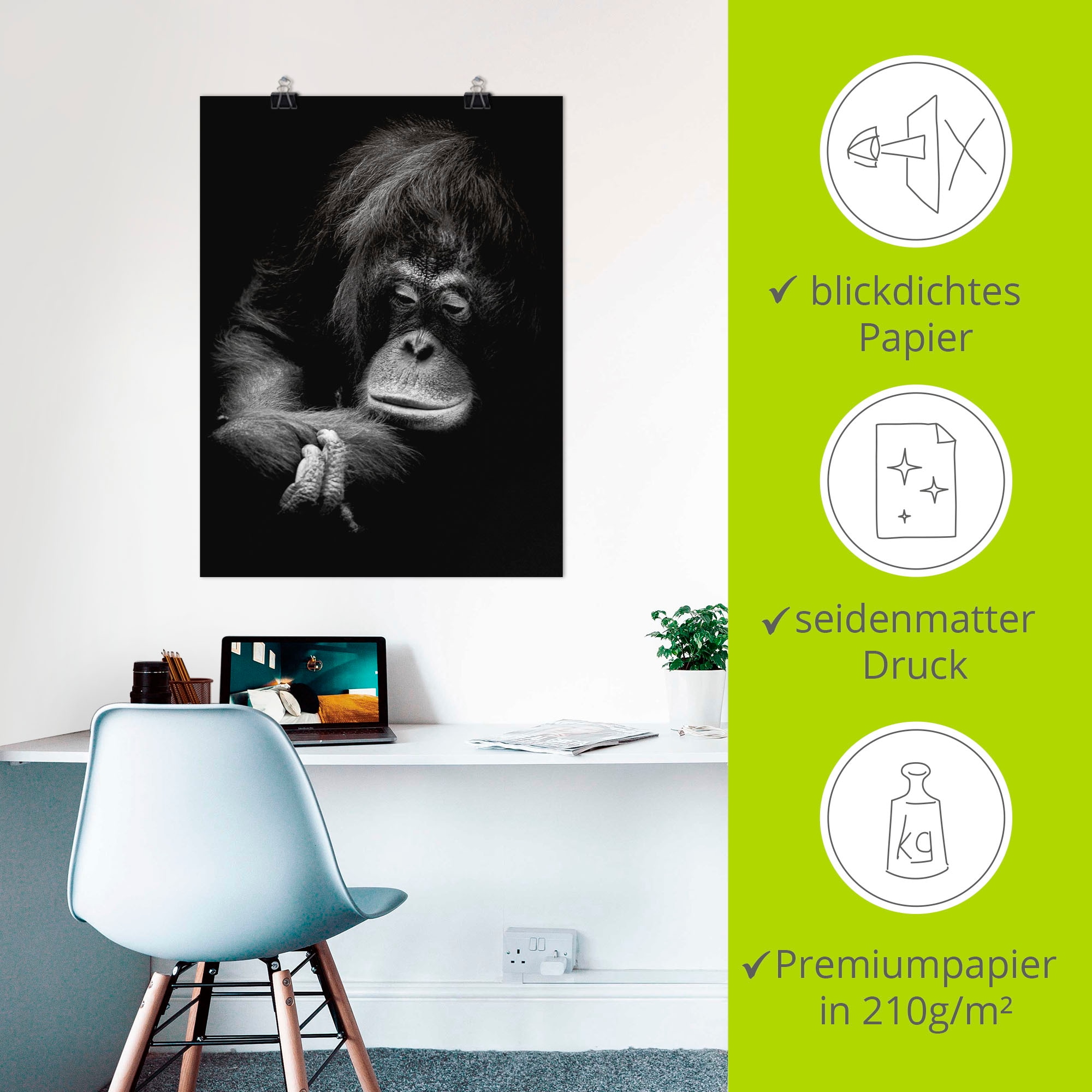 Artland Poster »Der nachdenkliche Orang Utan«, Affenbilder, (1 St.), als Alubild, Leinwandbild, Wandaufkleber oder Poster in versch. Größen