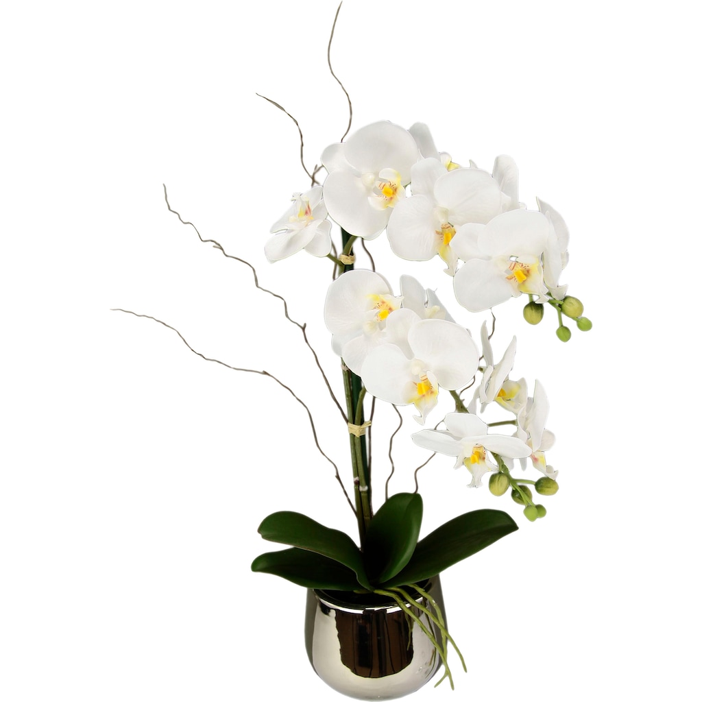 I.GE.A. Kunstpflanze »Phalaenopsis im Topf«