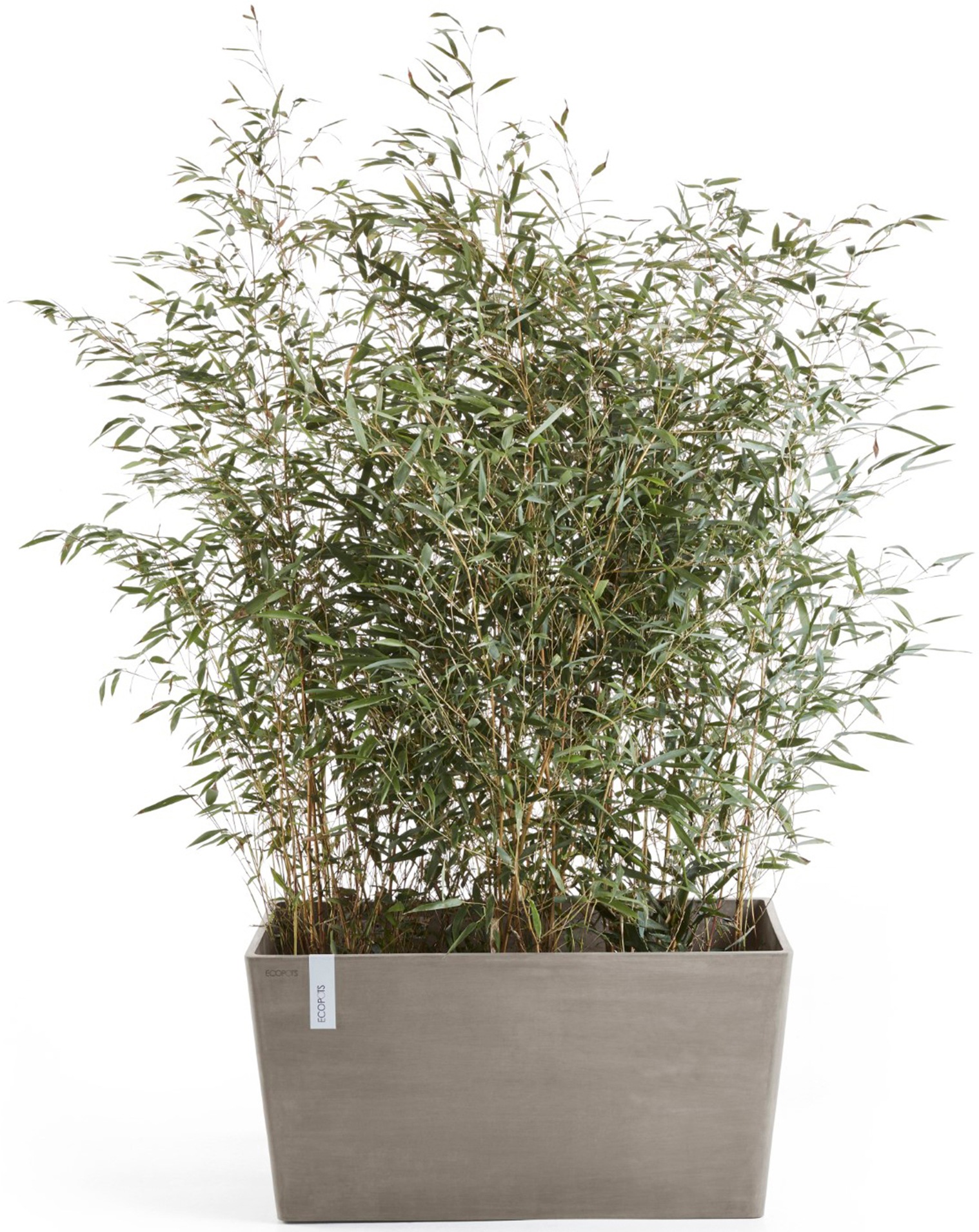 ECOPOTS Blumentopf »Paris 80 Taupe«, für den Außenbereich: frostsicher, bruchsicher und lichtbeständig