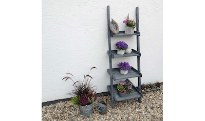 promadino Pflanzentreppe »Helma«, Blumenleiter, BxTxH: 58x46x117 cm kaufen
