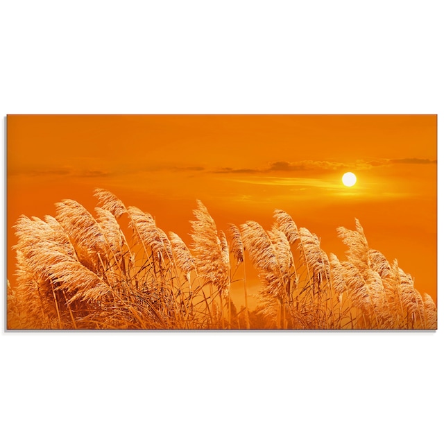 Artland Glasbild »Im Wind«, Gräser, (1 St.), in verschiedenen Größen online  kaufen