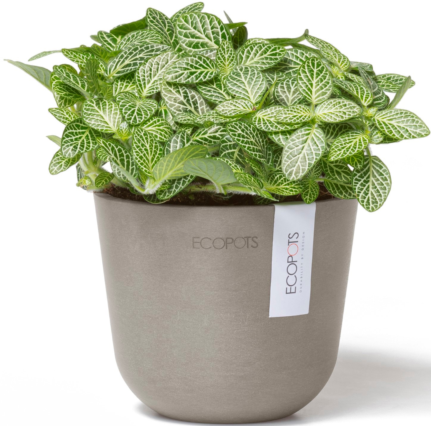 ECOPOTS Blumentopf »Oslo Mini 11,5 Taupe«, für den Innenbereich