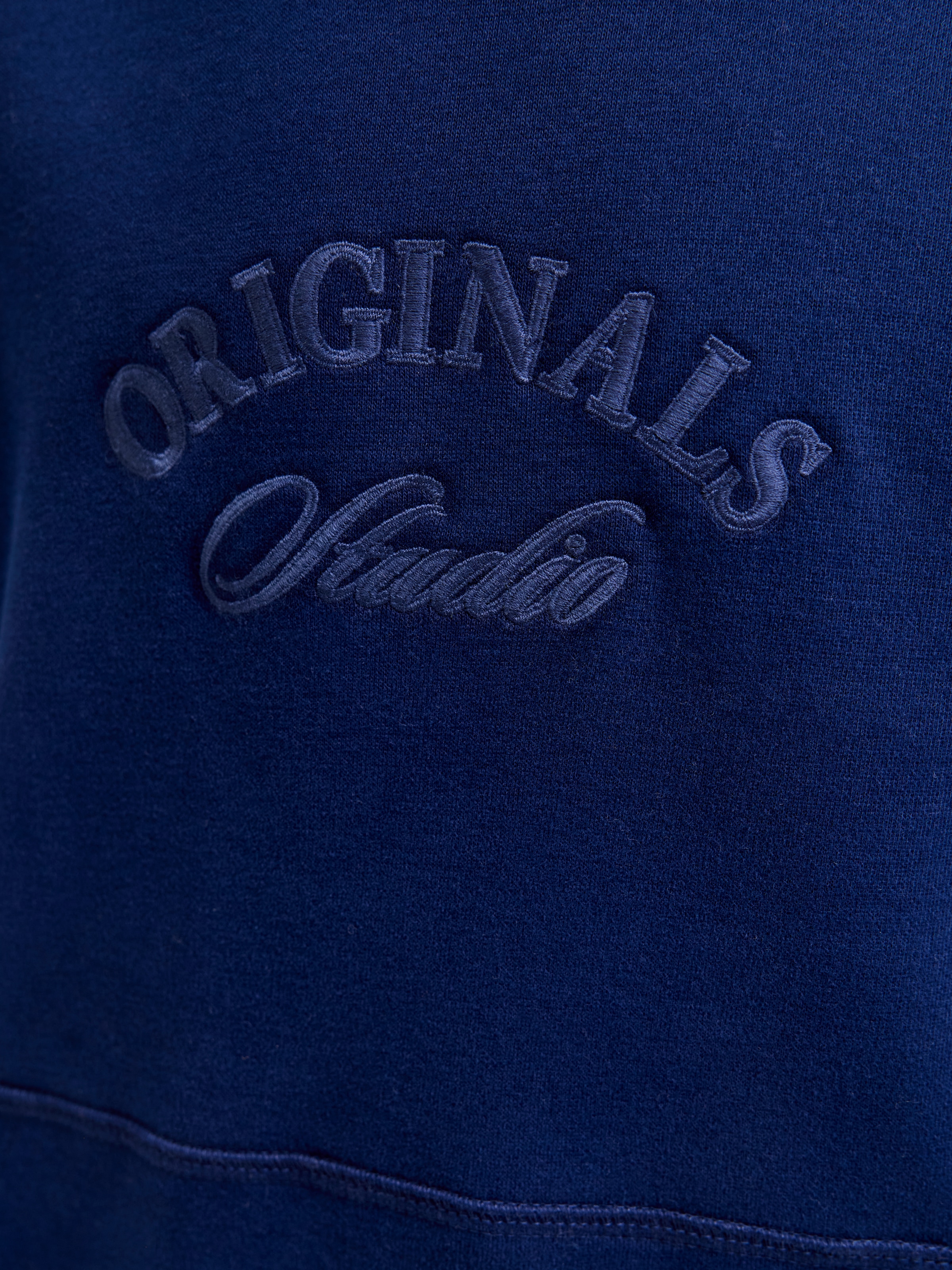 Jack & Jones Junior Kapuzensweatshirt »JORBLEECKER BRANDING SWEAT HOOD BF JNR«
