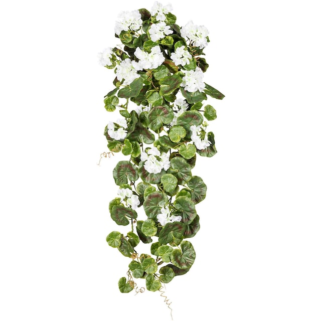 Creativ green Kunstpflanze »Geranienhänger« online kaufen