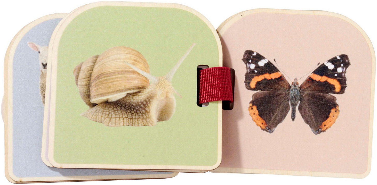 Eichhorn Kinderbuch »Montessori Bilderbuch« FSC® - schützt Wald