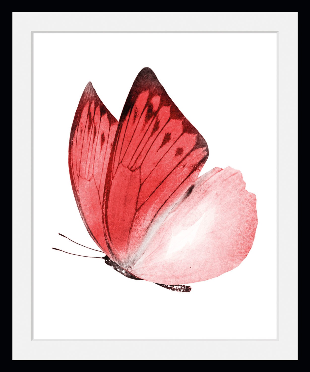 queence Bild »Liana«, Schmetterlinge-Kunst-Insekten, (1 St.), HD Premium Po günstig online kaufen