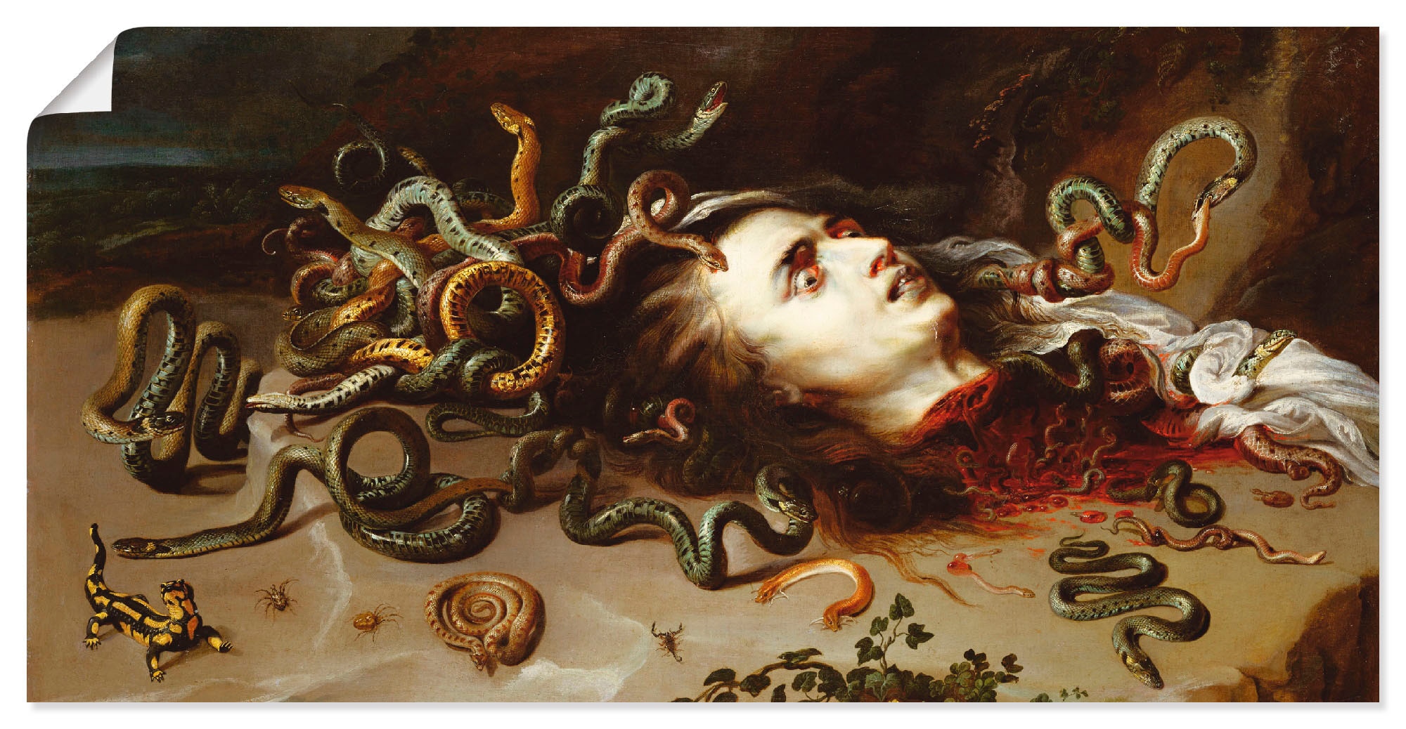 Artland Wandbild »Das Haupt der Medusa«, klassische Fantasie, (1 St.), als günstig online kaufen