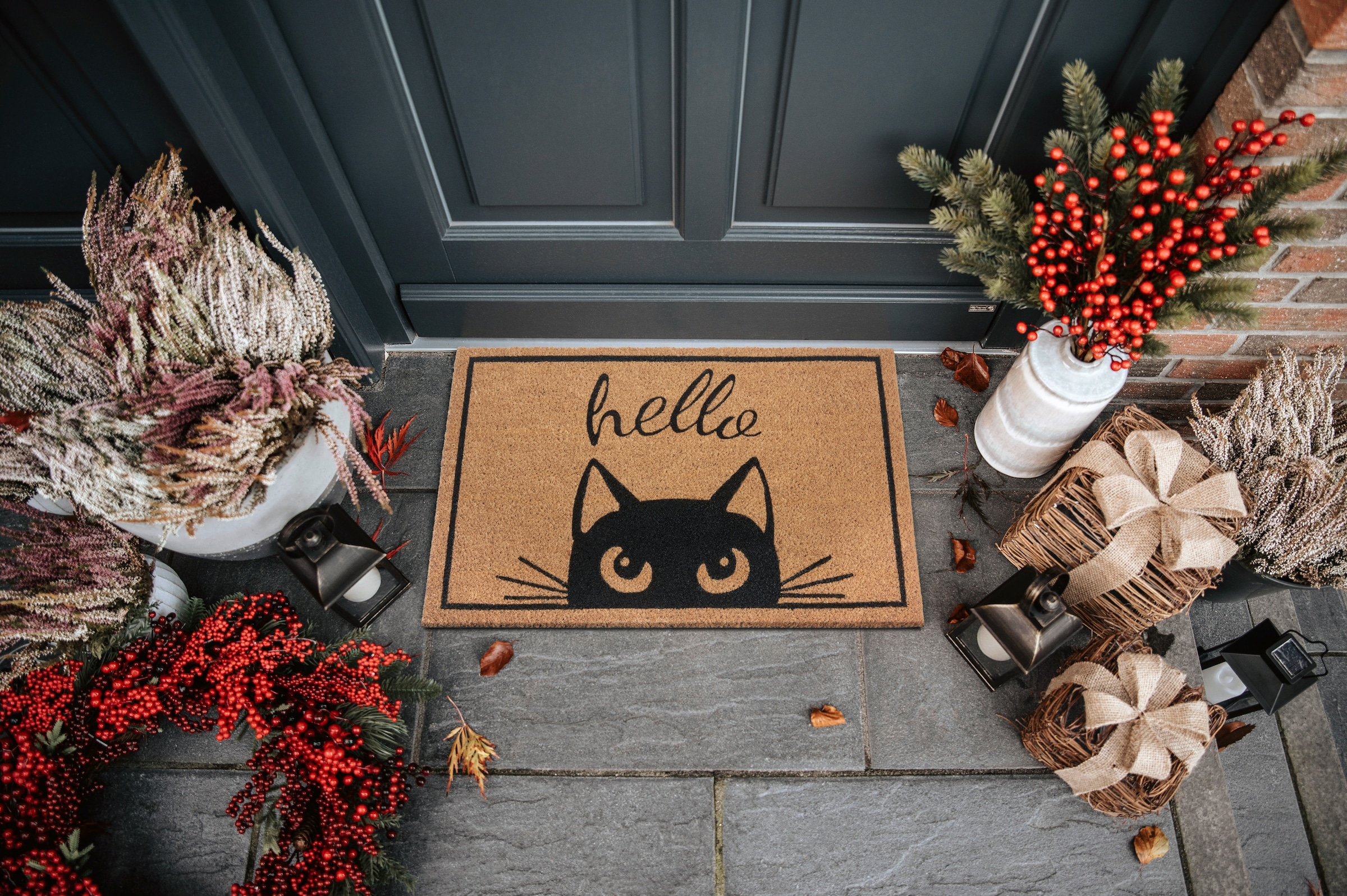 HANSE Home Fußmatte »Kokos Watching Cat, Türmatte«, rechteckig, 15 mm Höhe, Kokos, Schmutzfangmatte, Outdoor, Rutschfest, Innen, Kokosmatte, Flur