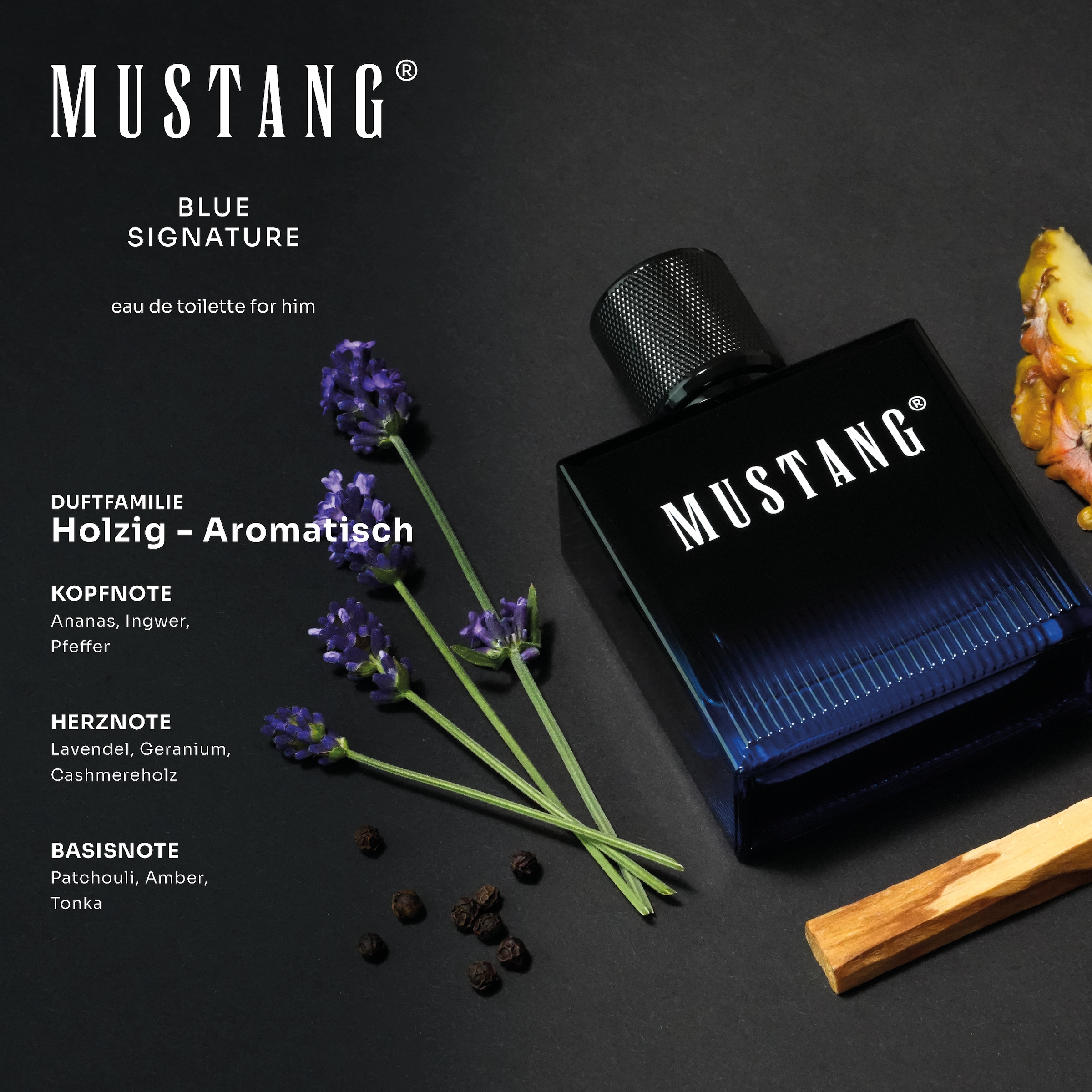 MUSTANG Eau de Toilette »MUSTANG BLUE SIGNATURE for him EdT 50ml« fruchtig-holziger Duft