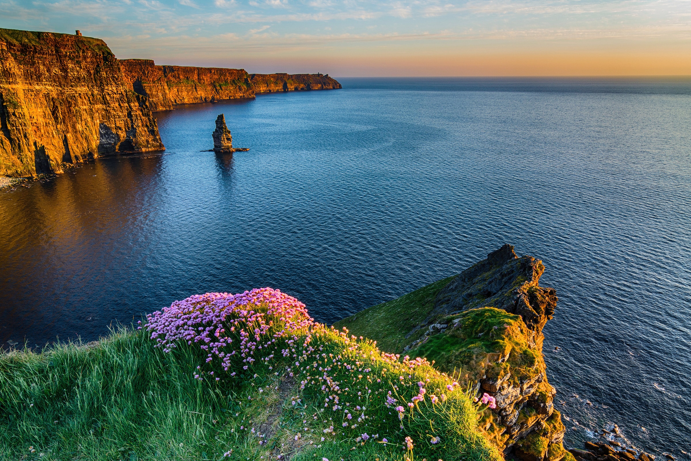 Papermoon Fototapete »MOHER IRLAND-STRAND KLIPPEN KÜSTE BLUMEN MEER GEBIRGE günstig online kaufen