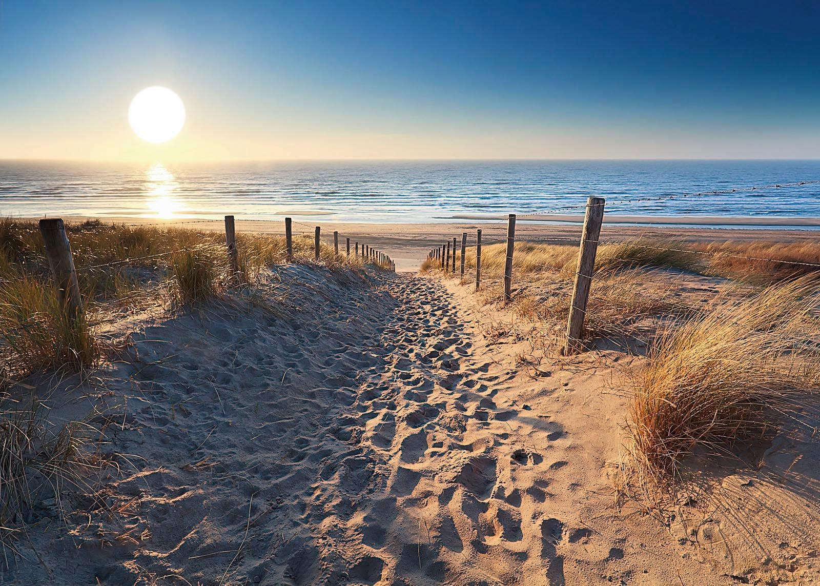 Reinders Deco-Panel "Dünenweg zum Meer" günstig online kaufen