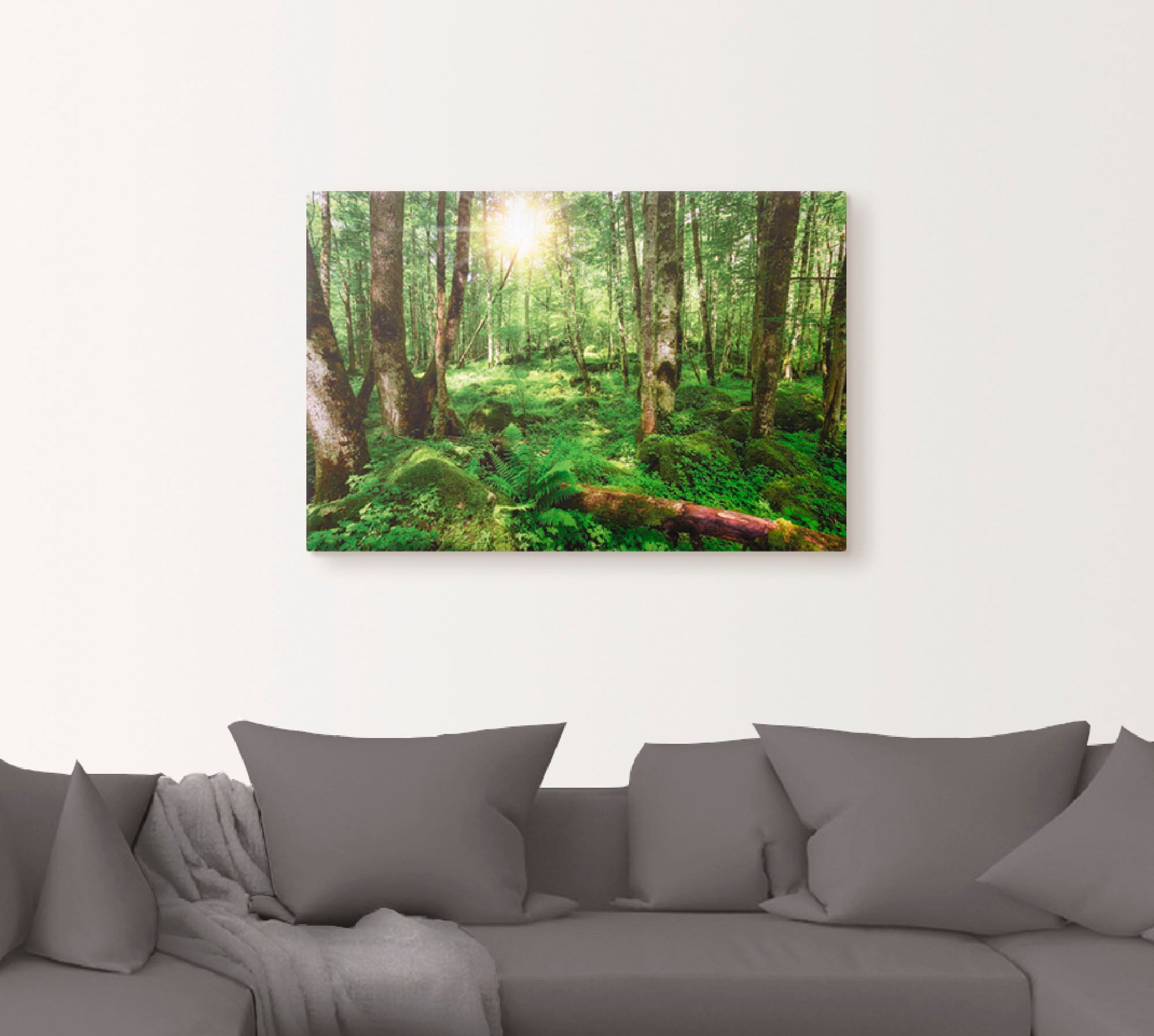 Artland Wandbild "Wald", Wald, (1 St.), als Leinwandbild, Poster, Wandaufkl günstig online kaufen