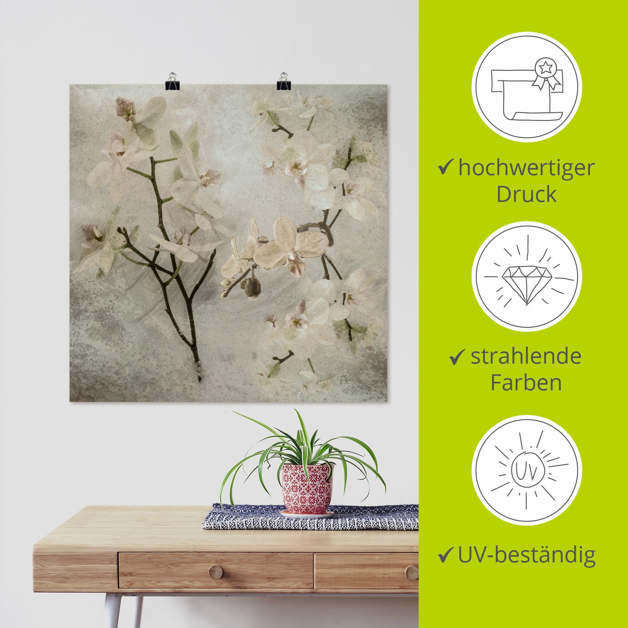 Artland Wandbild »Orchideen«, Blumen, (1 St.), als Leinwandbild, Poster, Wandaufkleber in verschied. Größen