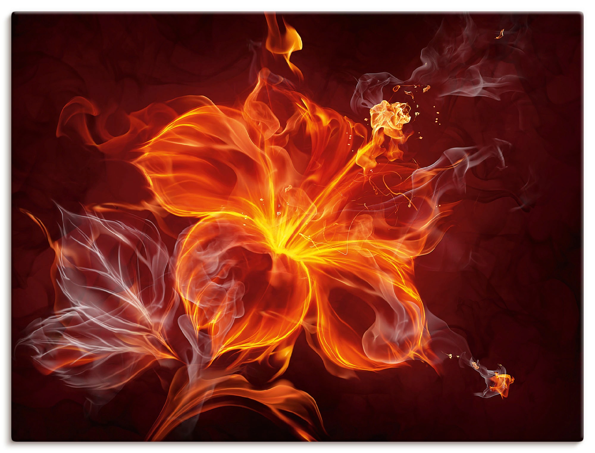 Artland Wandbild »Feuerblume« 1 Stk. tlg. als Leinwandbild, Poster, Wandauf günstig online kaufen