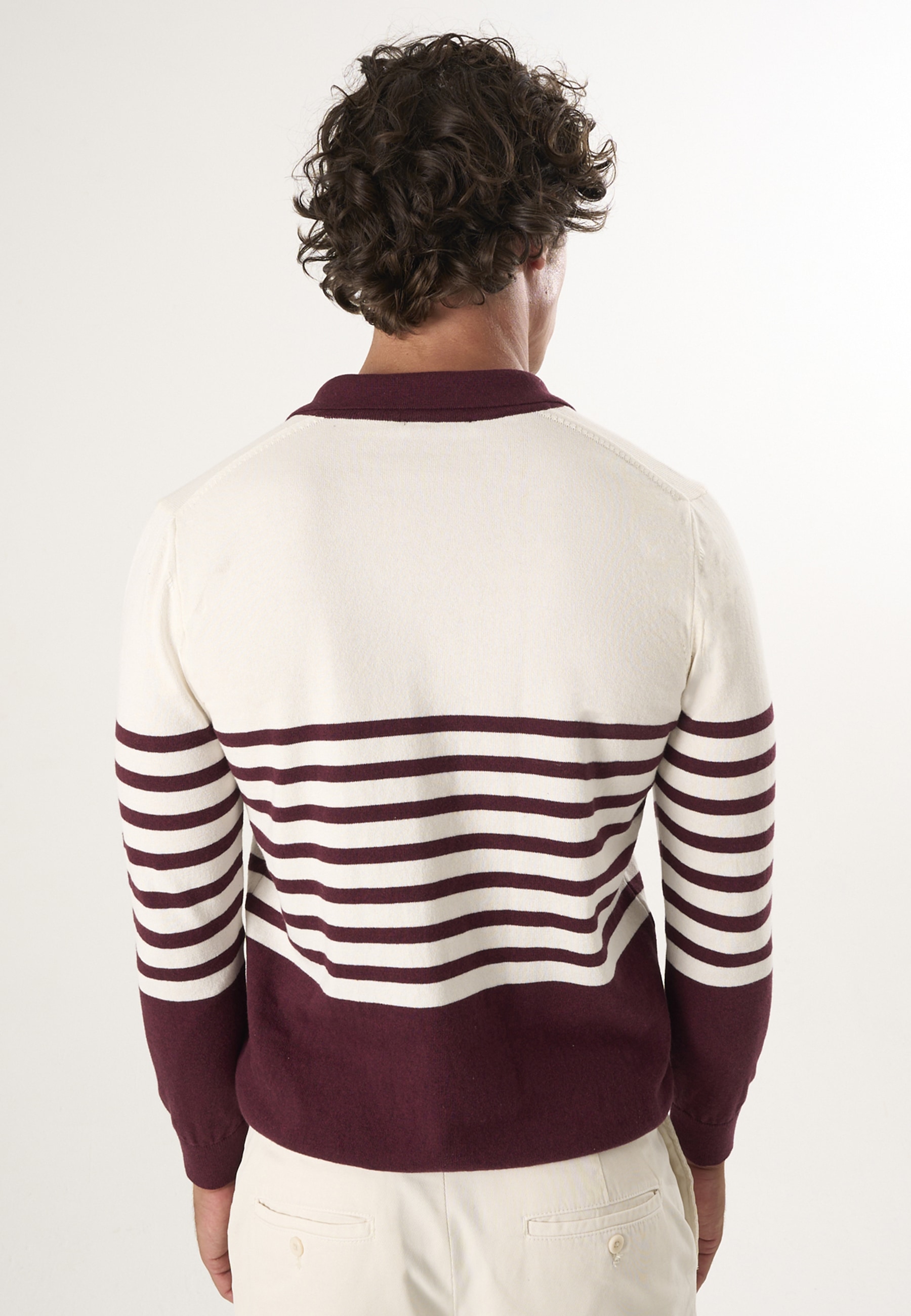 Felix Hardy Polokragenpullover »Strickpullover mit Polokragen«
