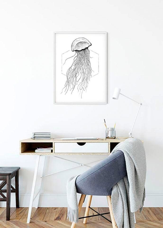 Komar Bild »Jellyfish White«, Tiere, (1 St.), Wandbild zur Dekoration - ohne Rahmen