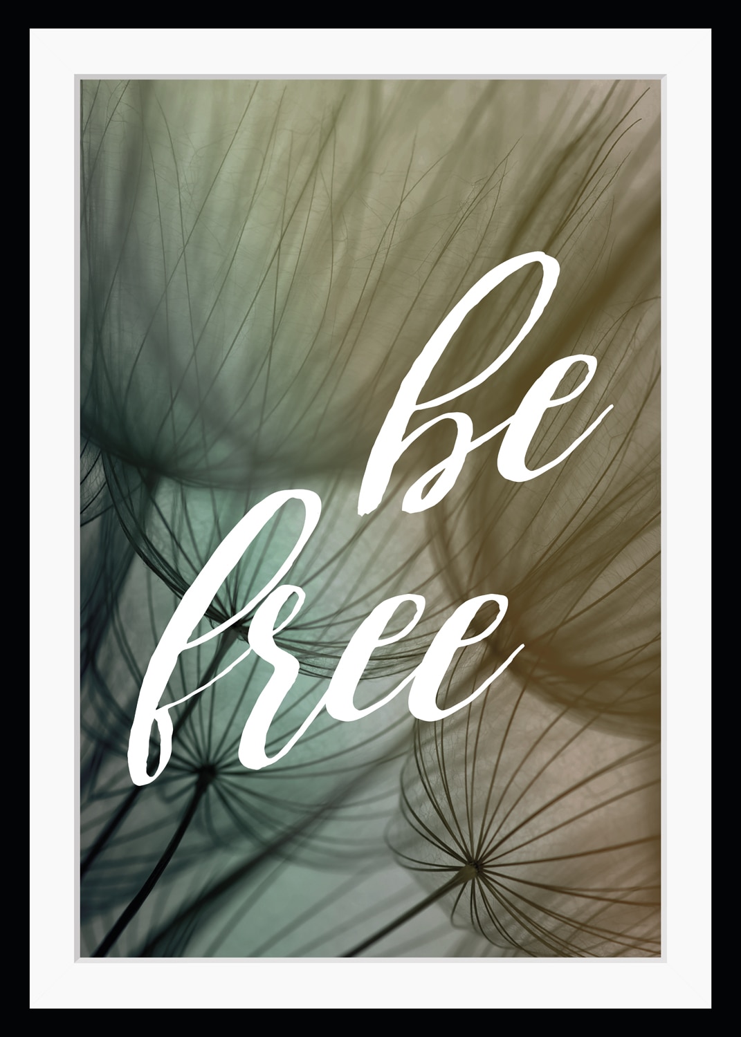 queence Bild »be free«, Sprüche & Texte-Schriftzug-Motivationsbilder-Pflanz günstig online kaufen