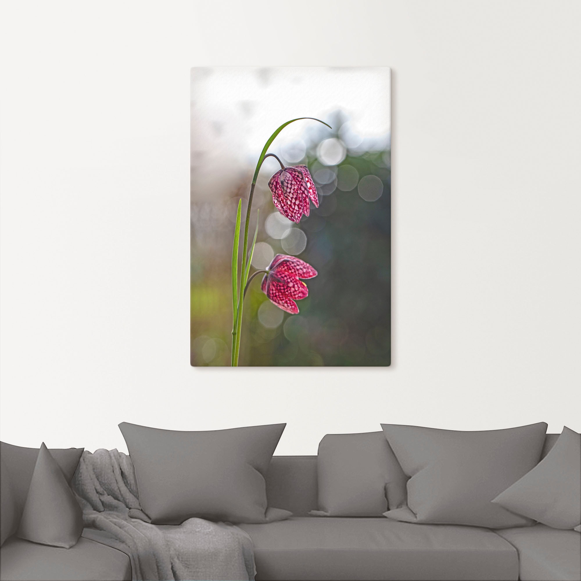 Artland Leinwandbild "Schachbrettblume", Blumenbilder, (1 St.), auf Keilrah günstig online kaufen