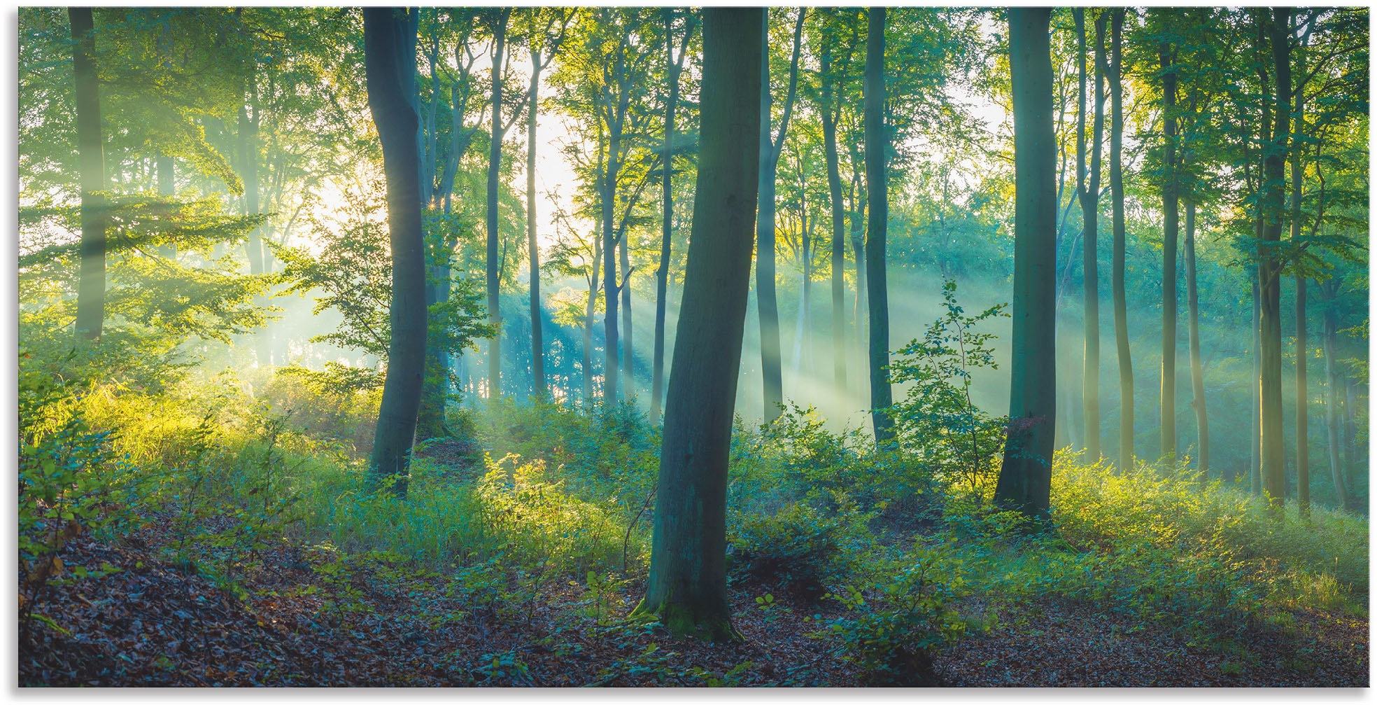 Artland Wandbild »Wald Panorama«, Waldbilder, (1 St.), als Alubild, Outdoor günstig online kaufen